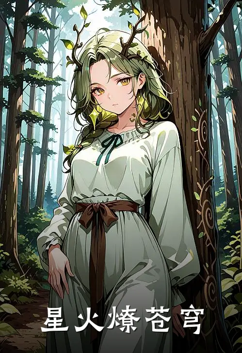 星火燎苍穹